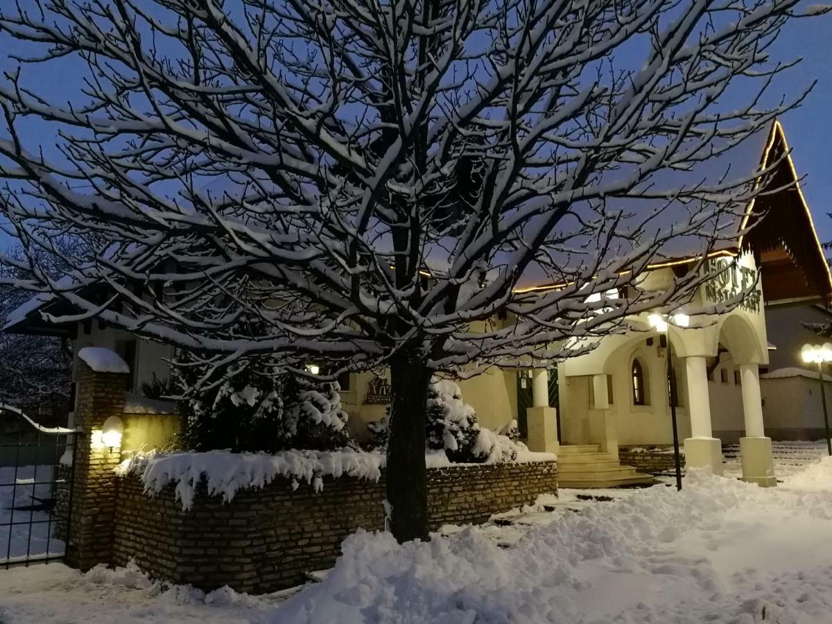 Hasik Hotel Magyarpolány Esterno foto